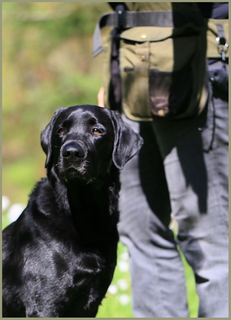 Wald & Hund -Trainerin mit Hund