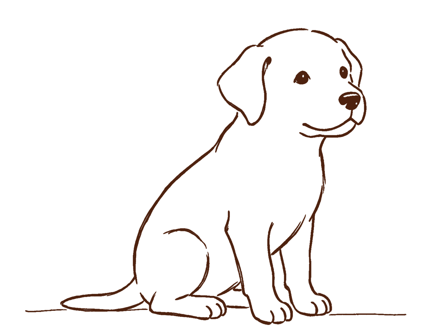 Wald und Hund - Hundetraining