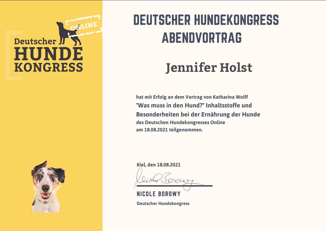 Wald und Hund - Hundetraining