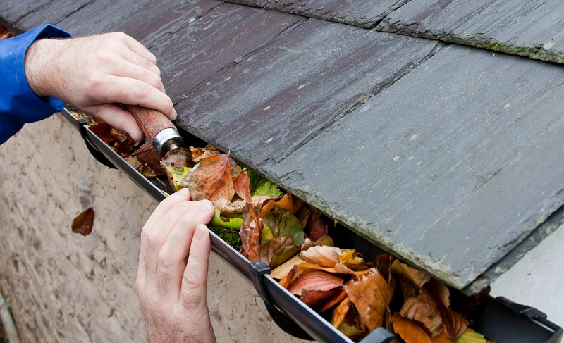 nettoyage gouttieres 77