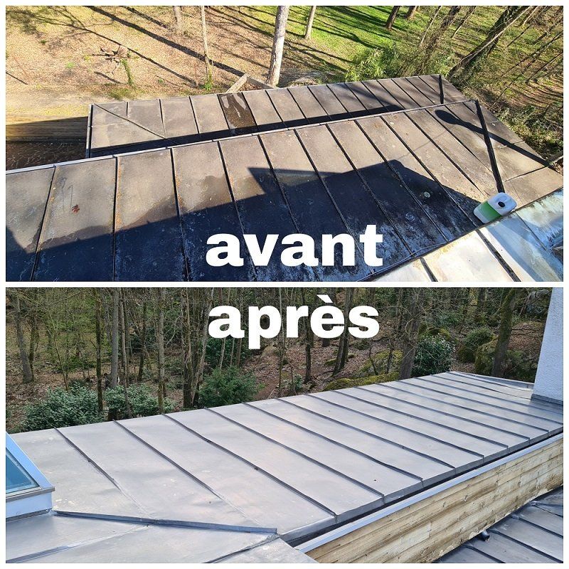 nettoyage toiture zinc 77