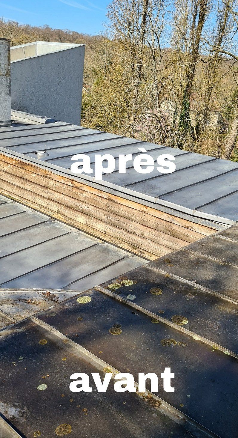 demoussage toiture zinc 77