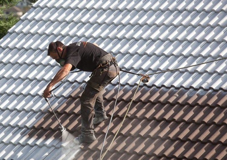 demoussage toiture 77