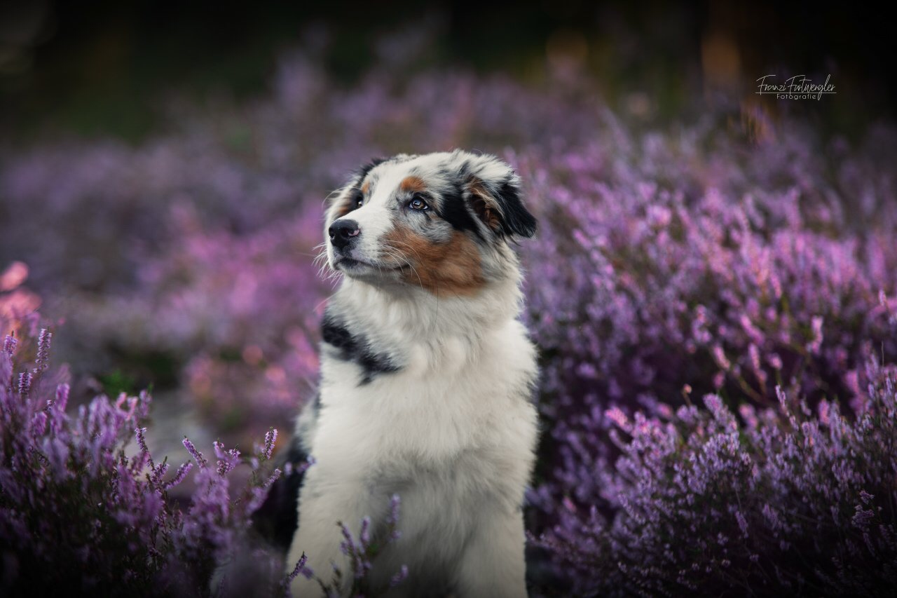 Über die Kleinsten von uns...