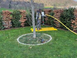 Gartenpflege Gartenpflege