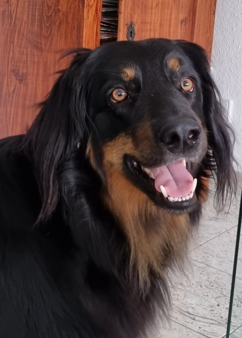 Bowie aus dem Talerstädtchen Bowie aus dem Talerstädtchen