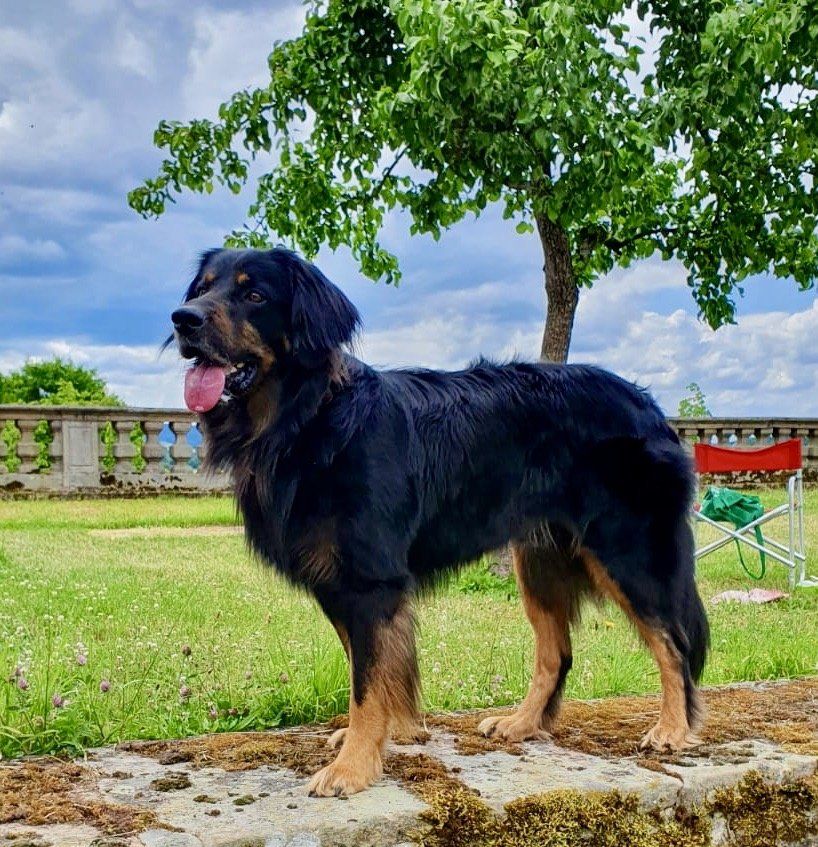 Elliot von den Arkaden Elliot von den Arkaden