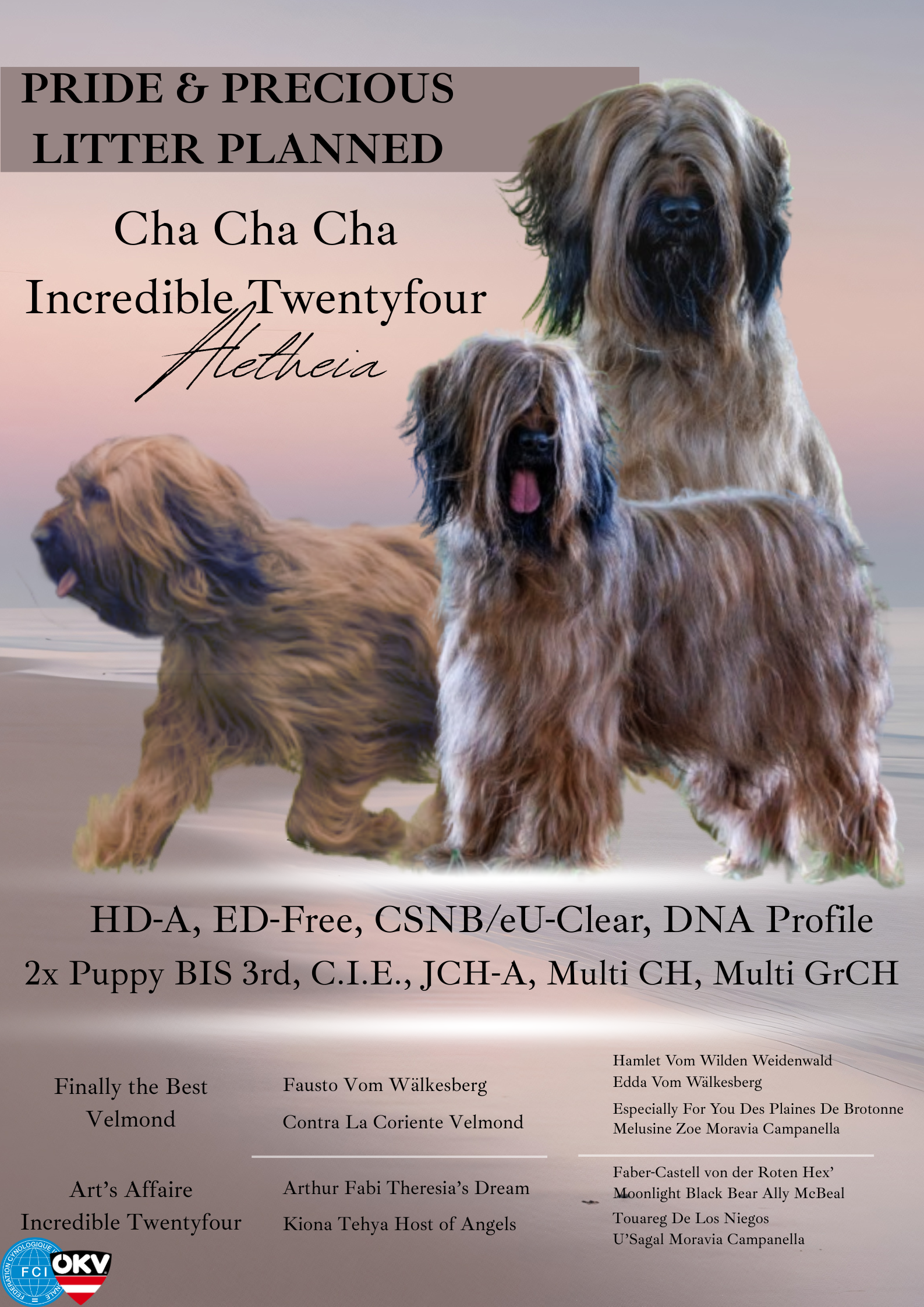 Briard Welpen geplant
Briard Welpen erwartet