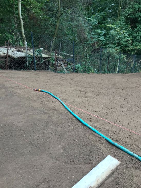 Anlegen einer neuen Rasenfläche in Dresden Loschwitz