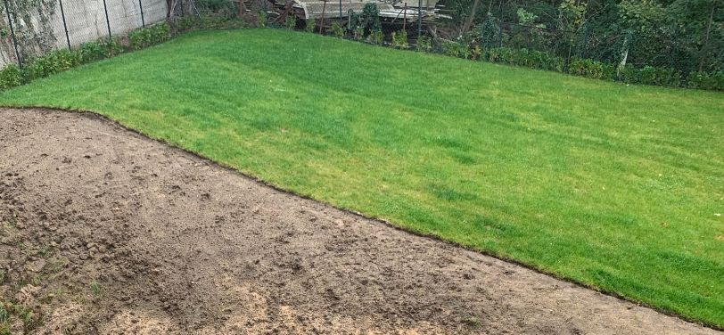 Anlegen einer neuen Rasenfläche in Dresden Loschwitz