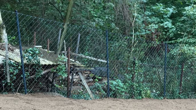 Herstellung Grundstücksbegrenzung in Dresden Loschwitz