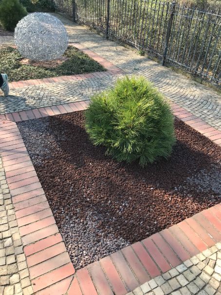 Neues Grün Beet Anlegen in Dresden Loschwitz