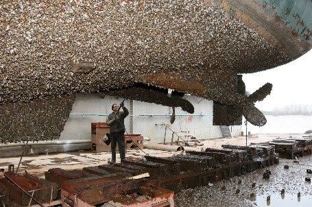 antifouling lake maggiore