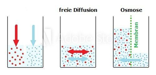 osmosebehandlung lago maggiore