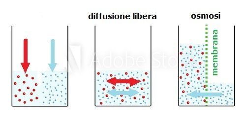 antiosmosi lago maggiore
