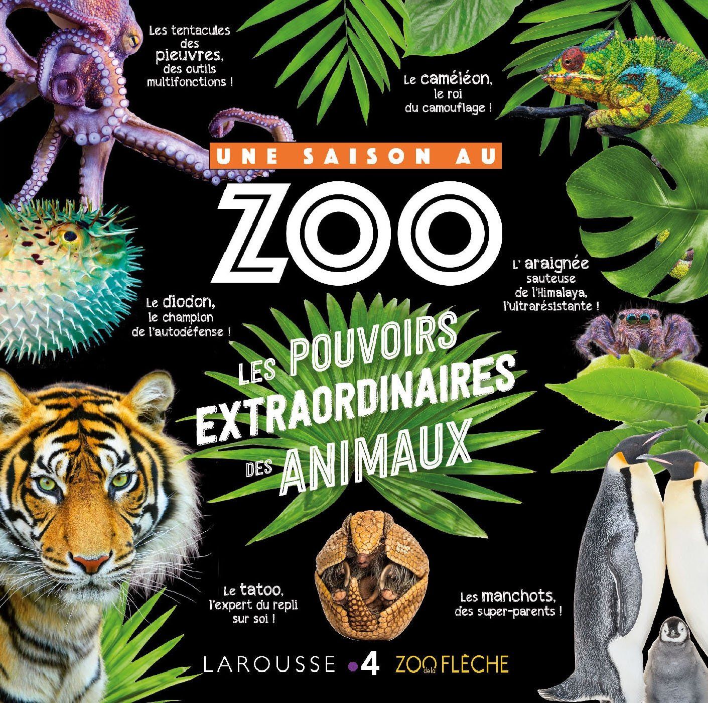 une saison au zoo, les pouvoirs extraordinaires des animaux, livre, enfant, larousse
