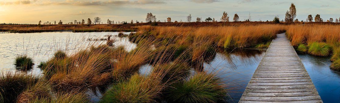 Naturmoorpackungen Rehazentrum Roßstraße Helmstedt