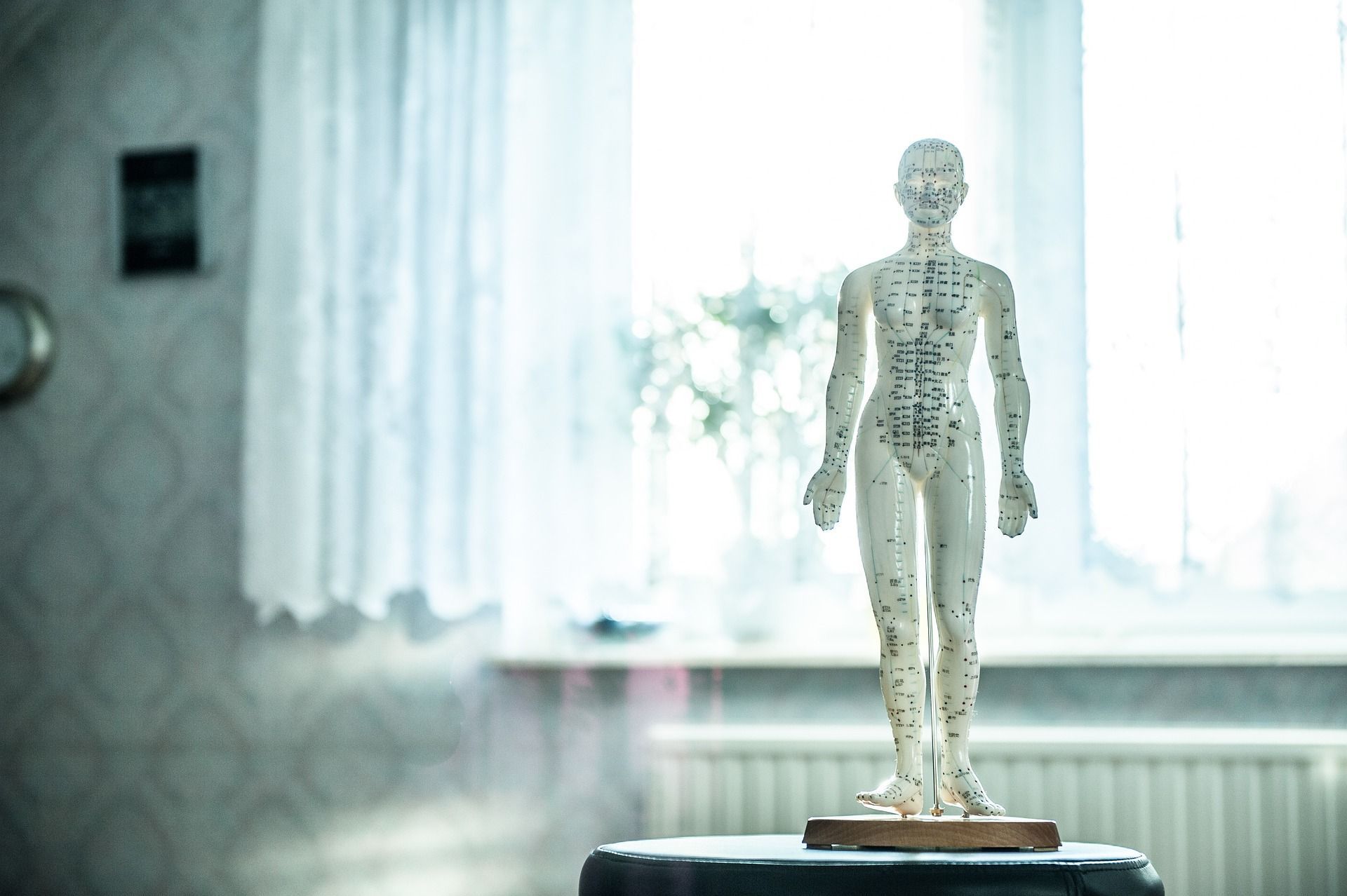Osteopathie als Zukunftsperspektive im Rehazentrum Roßstraße