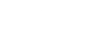 Klostergut Gutshof Burgwalde Uder Thüringen Angus