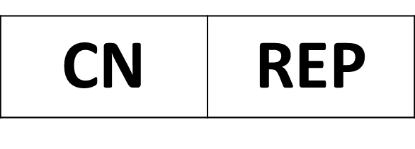 Chinese authorised representative