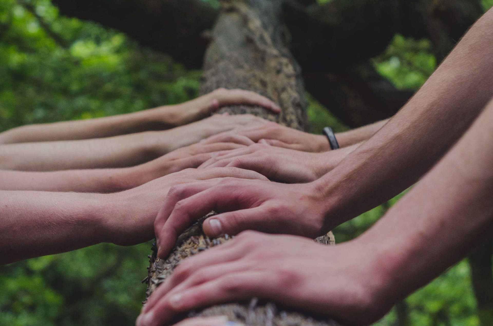 Chinese Agent of medical device