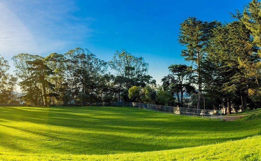 Susanne Klaus Lachen Online Zoom Lachyoga