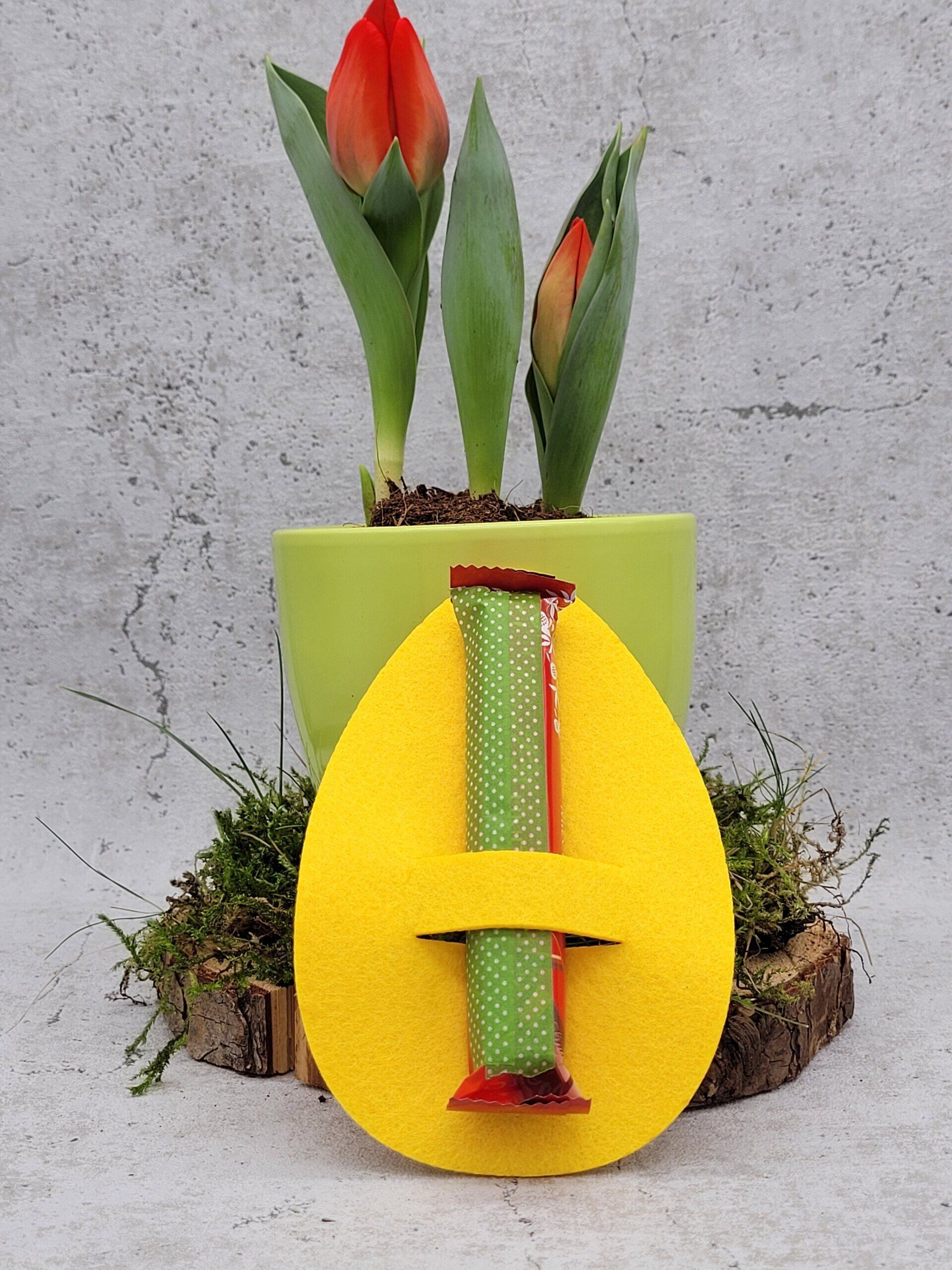 Halterung Geld oder Schoki | Eierlei mit Schlitzen