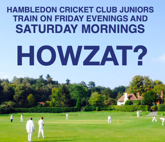 Junior Cricket Surrey