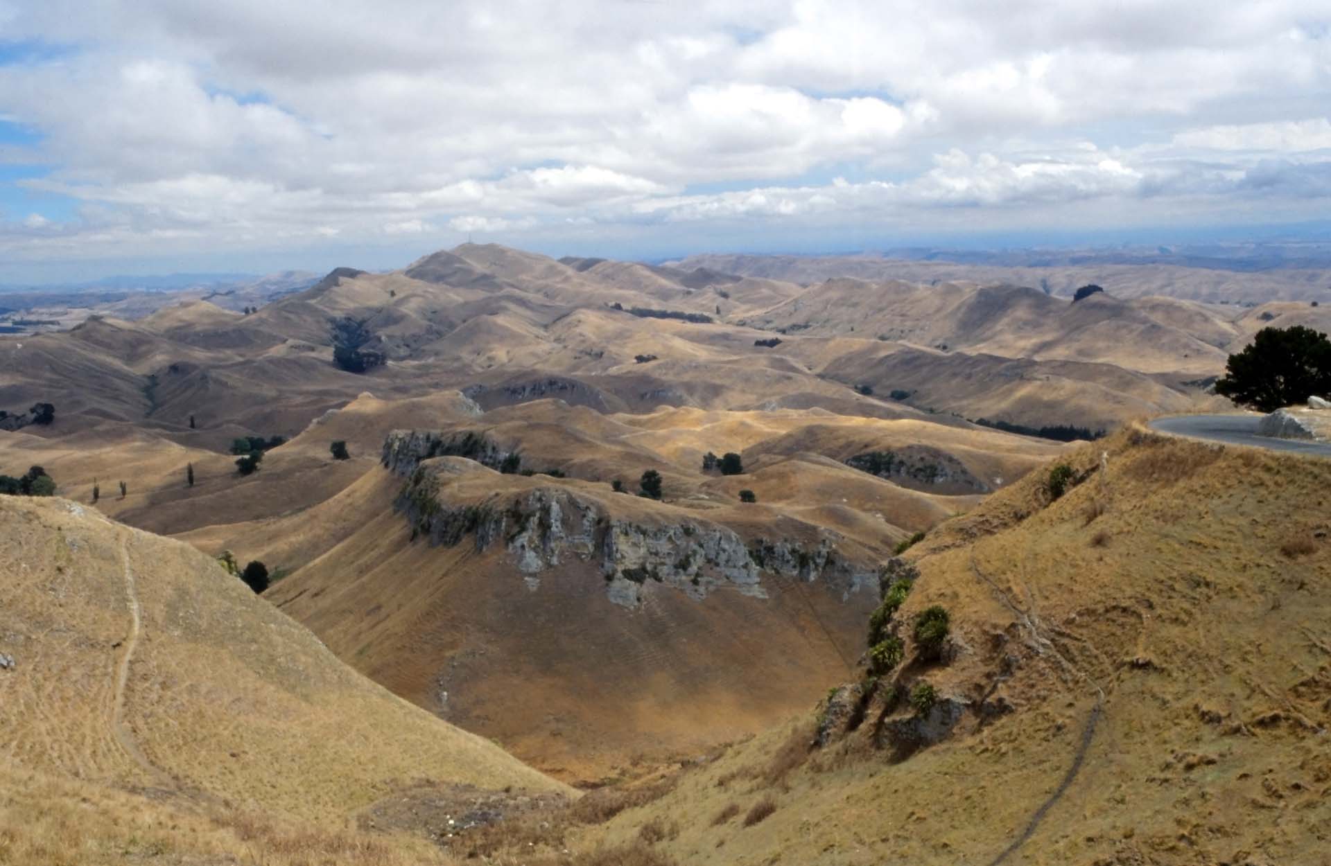 Nicht Nevada, sondern Havelock North auf der Nordinsel Neuseelands