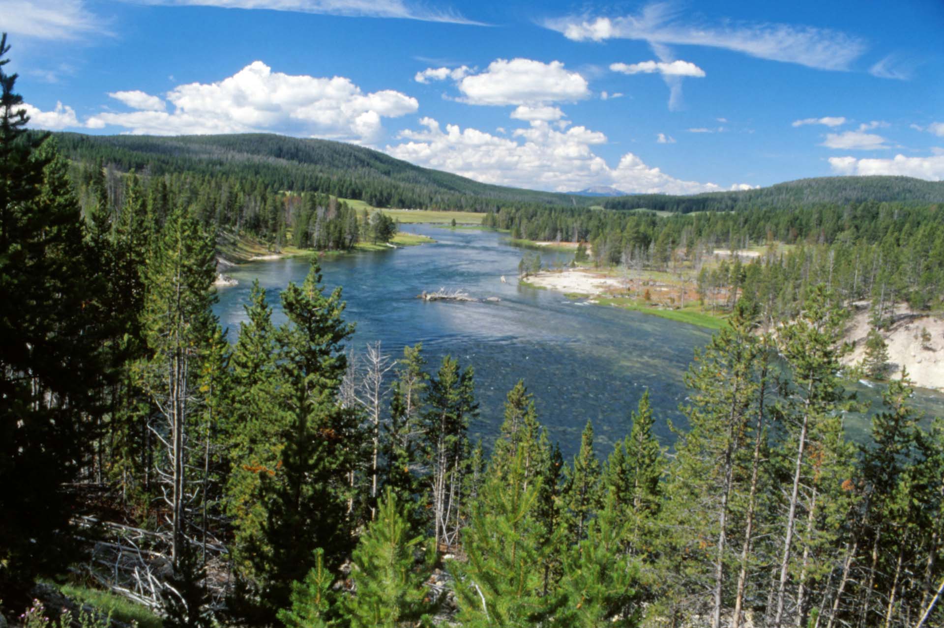 Im Yellowstone Nationalpark