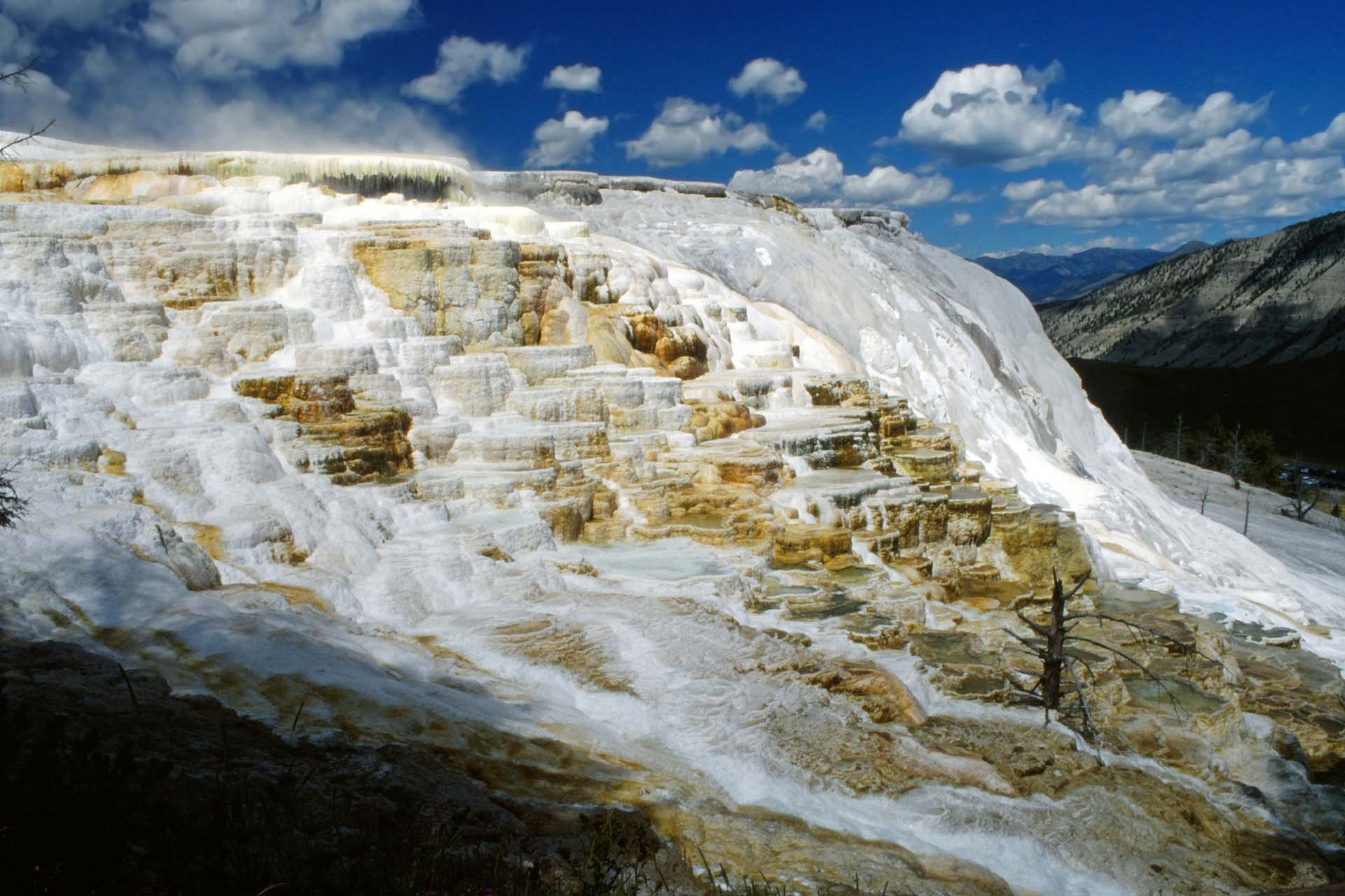 Sinterterrassen im Yellowstone Nationalpark