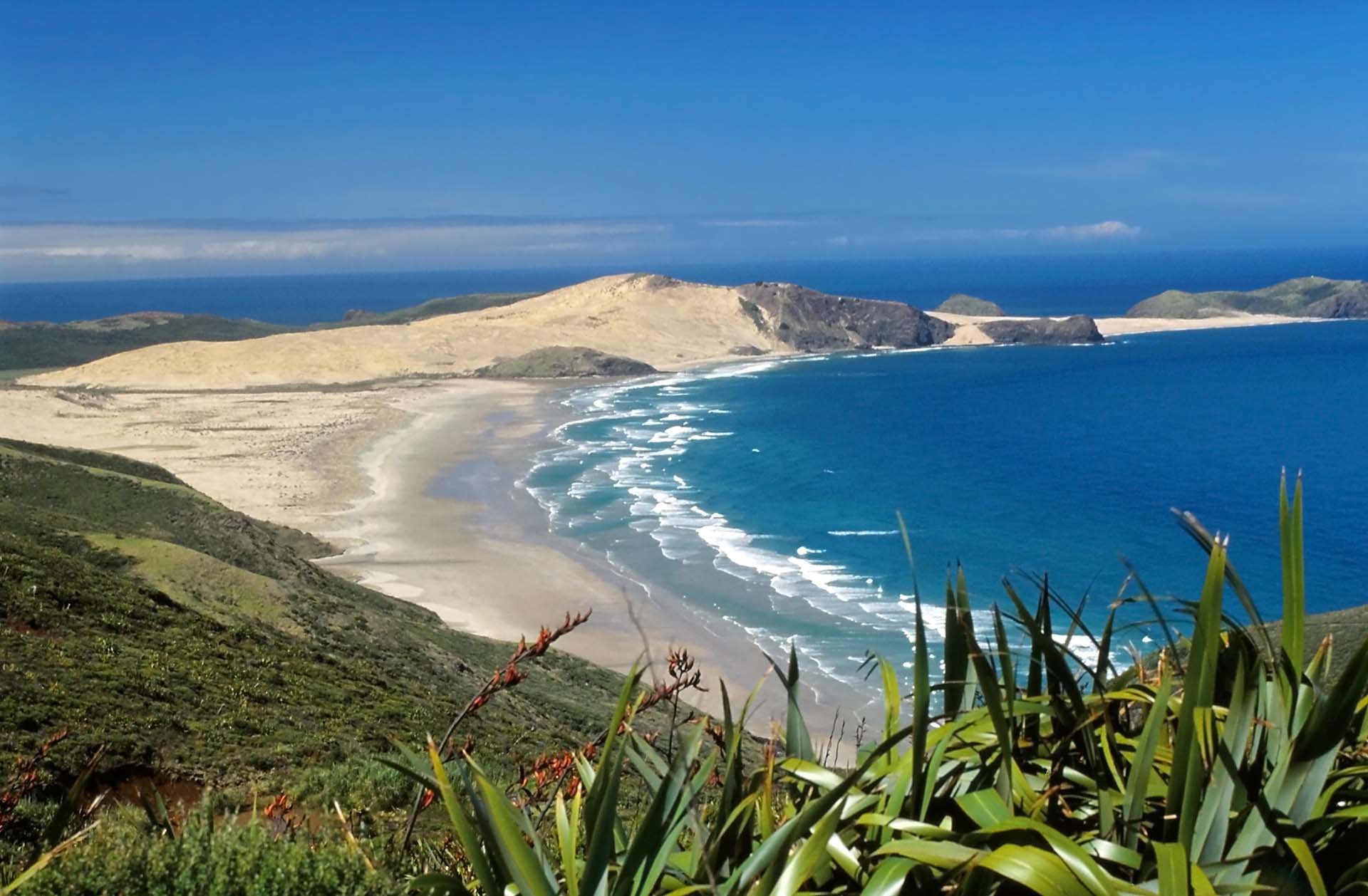 Dies ist die äußerste Nordspitze der Nordinsel Neuseelands