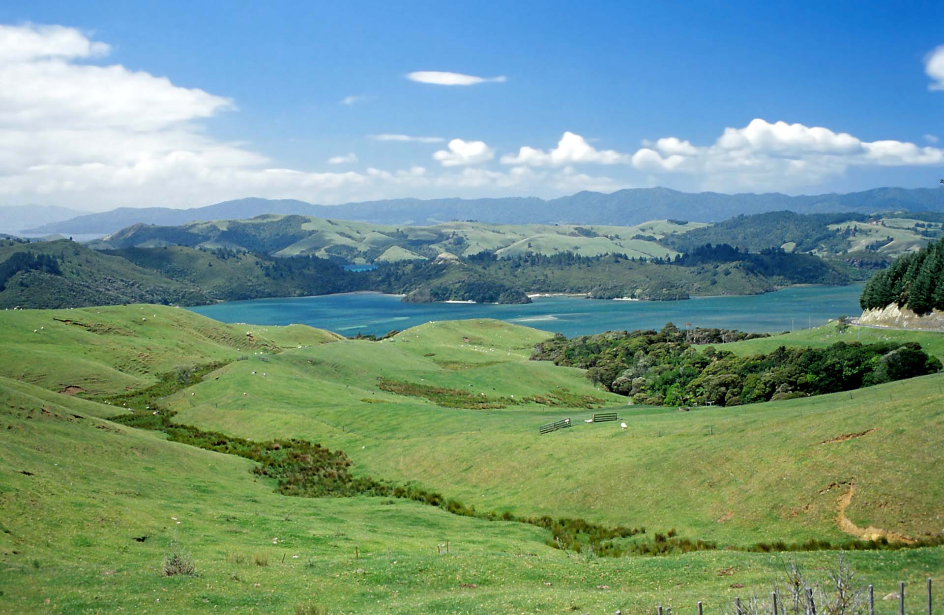 Neuseeland - Typische Nordinsel Idylle