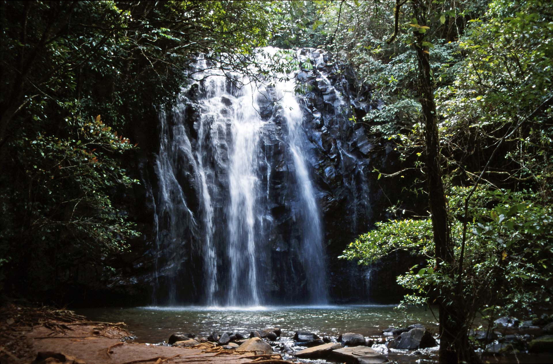 Am Wasserfall-Zirkel in den Atherton Tablelands