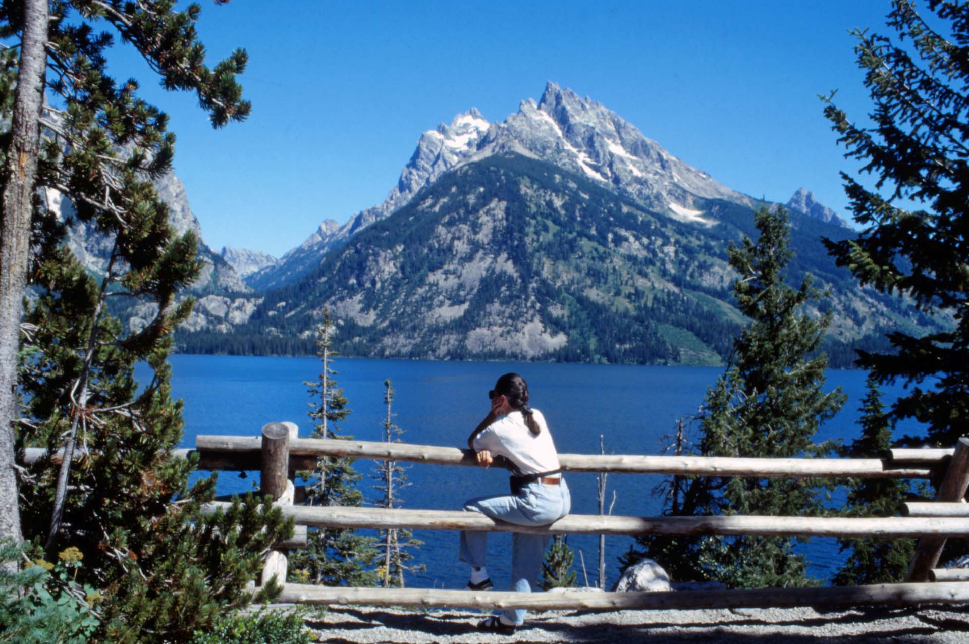 Im Grand Teton Nationalpark
