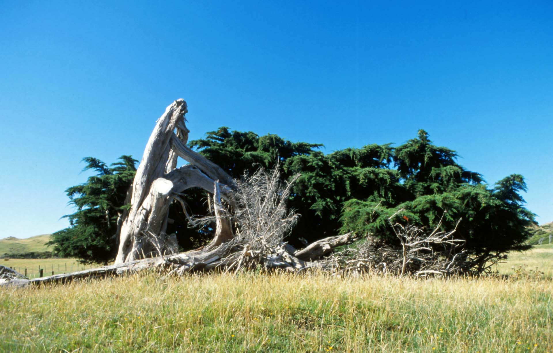 Südinsel Neuseeland - Der Farewell Spit ist eine windige Ecke