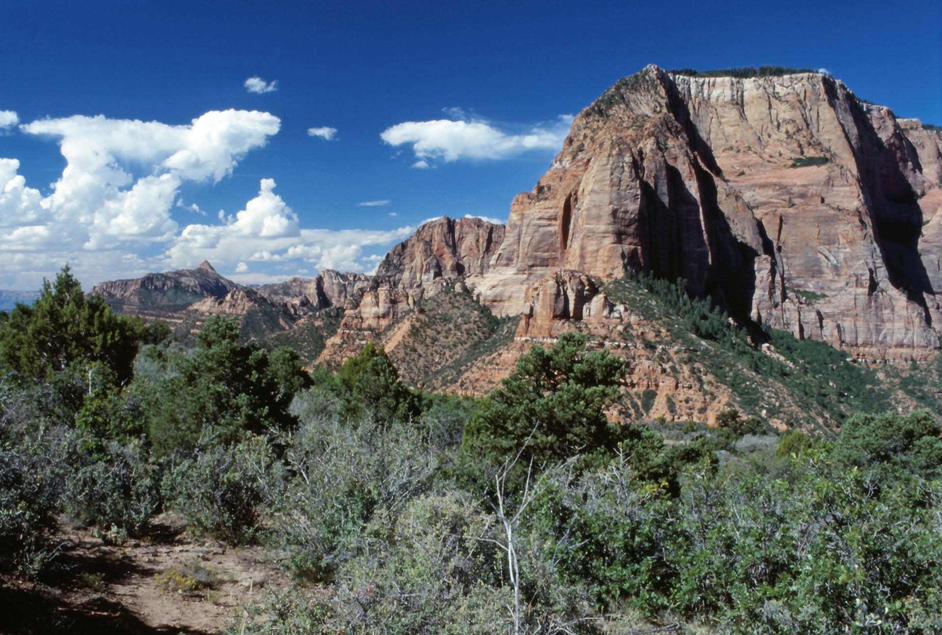 Im Zion Nationalpark, Utah