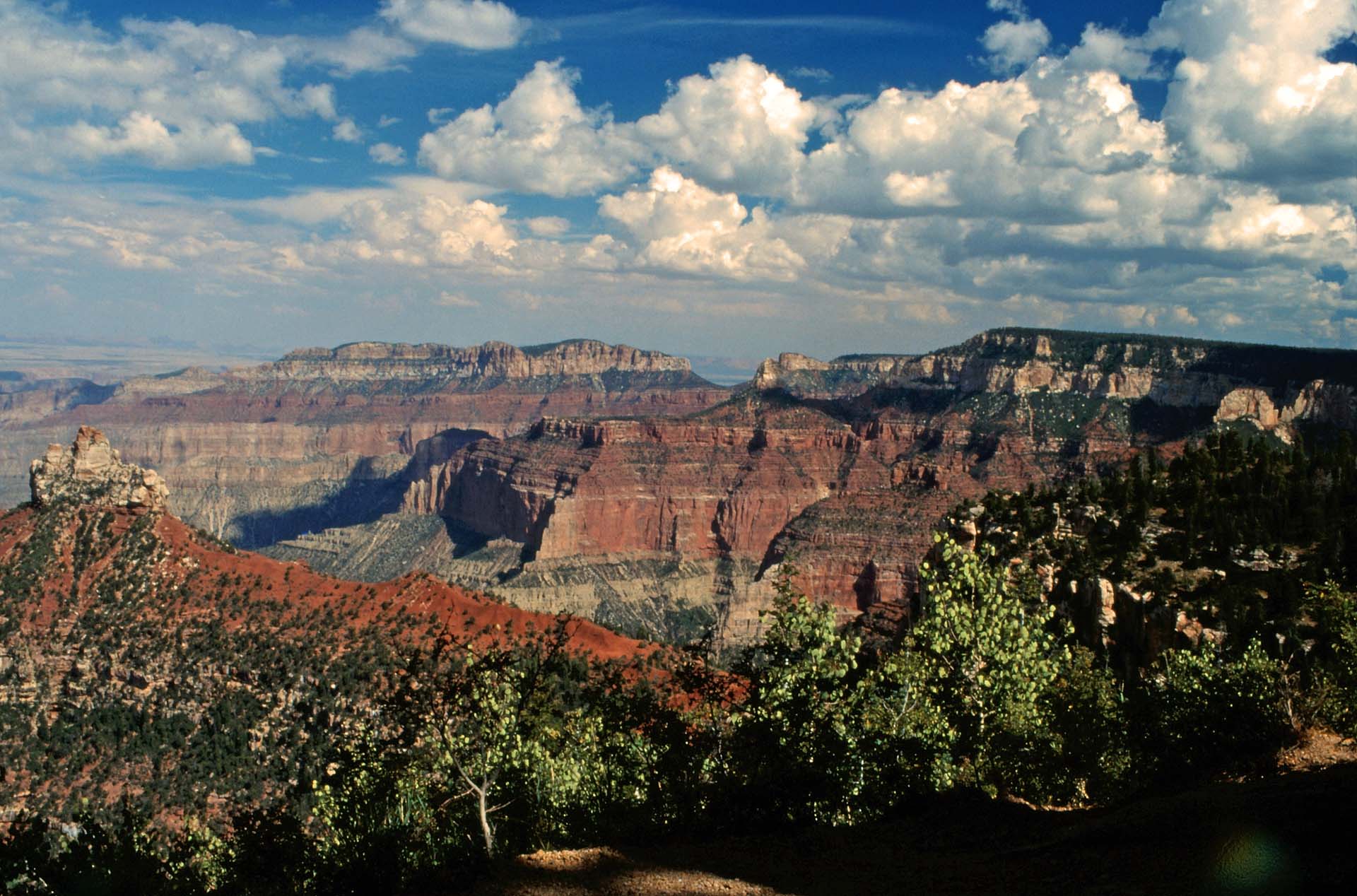 Arizona - Am ruhigen Northrim des Grand Canyon
