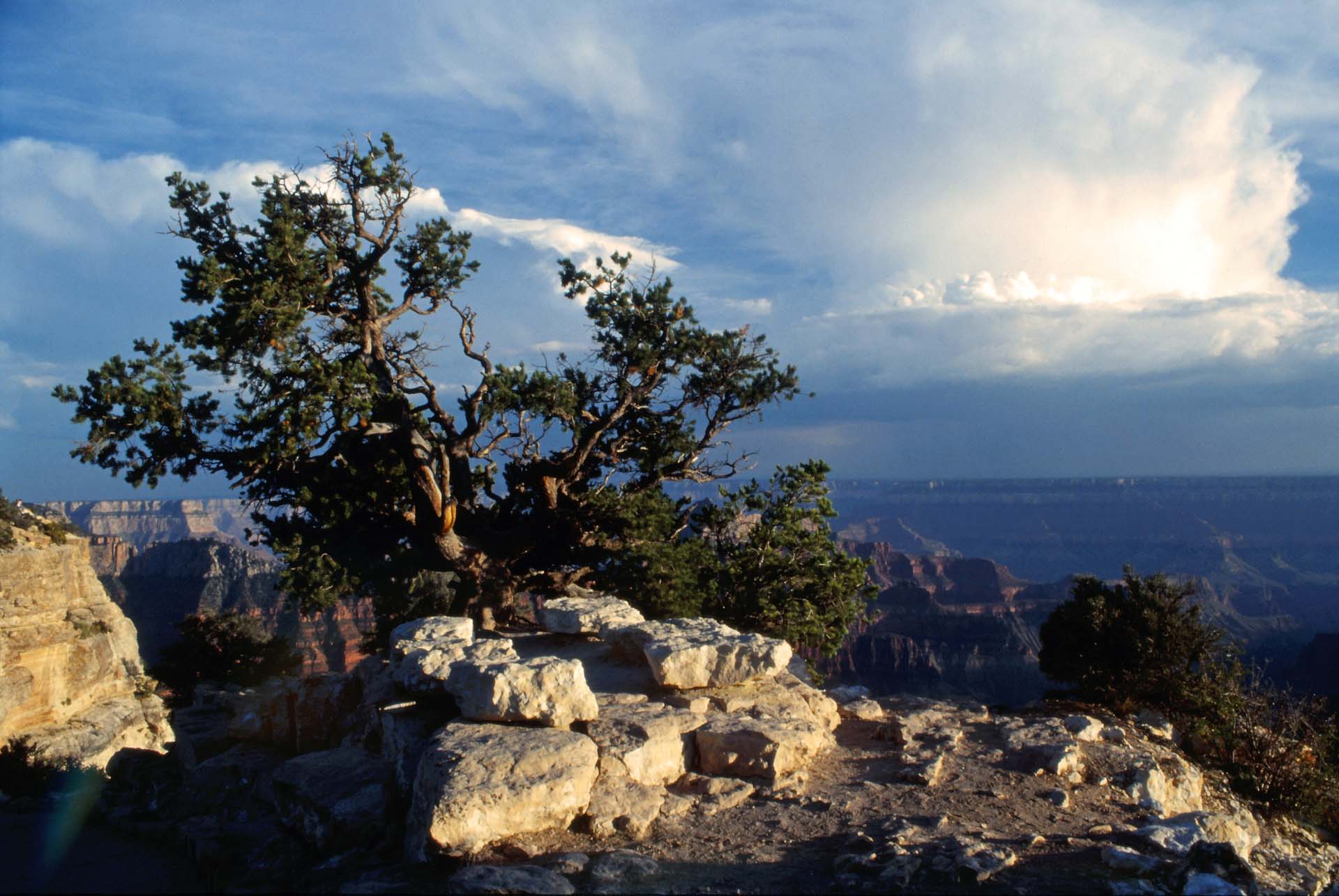 Morgenstimmung am Northrim des Grand Canyon
