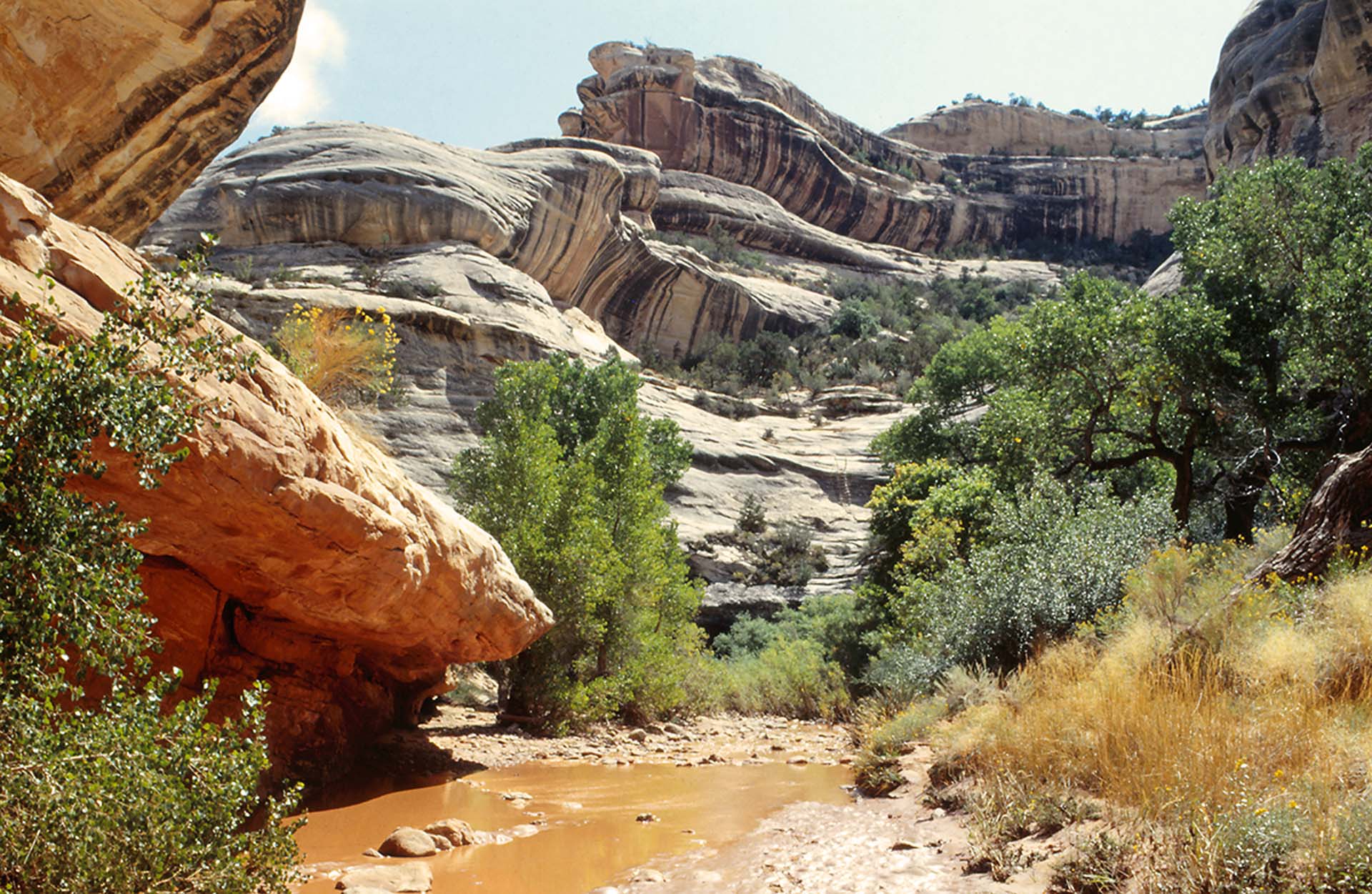 Utah - Natural Bridges Nationalmonument