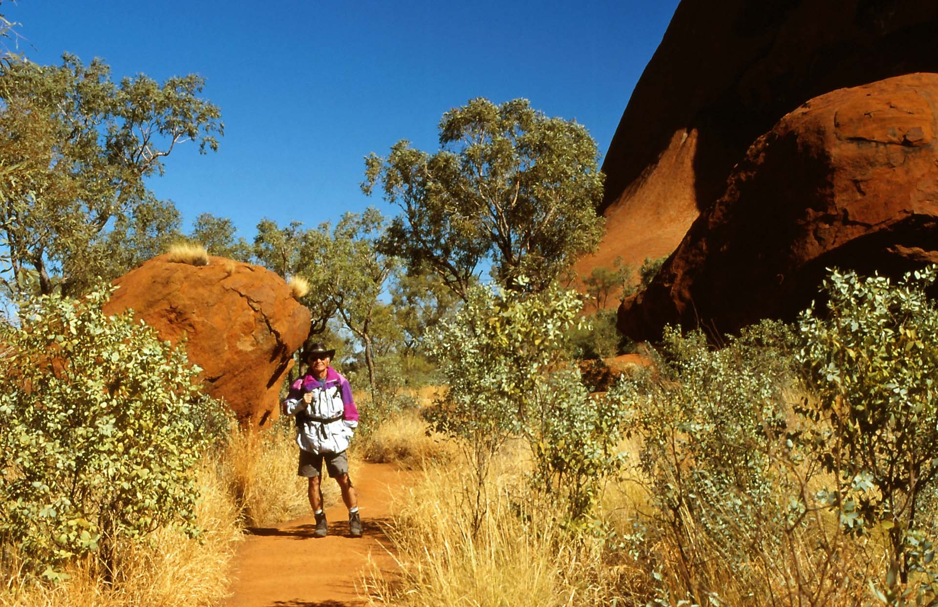 Olgas, Wanderung durch das Valley of the Winds