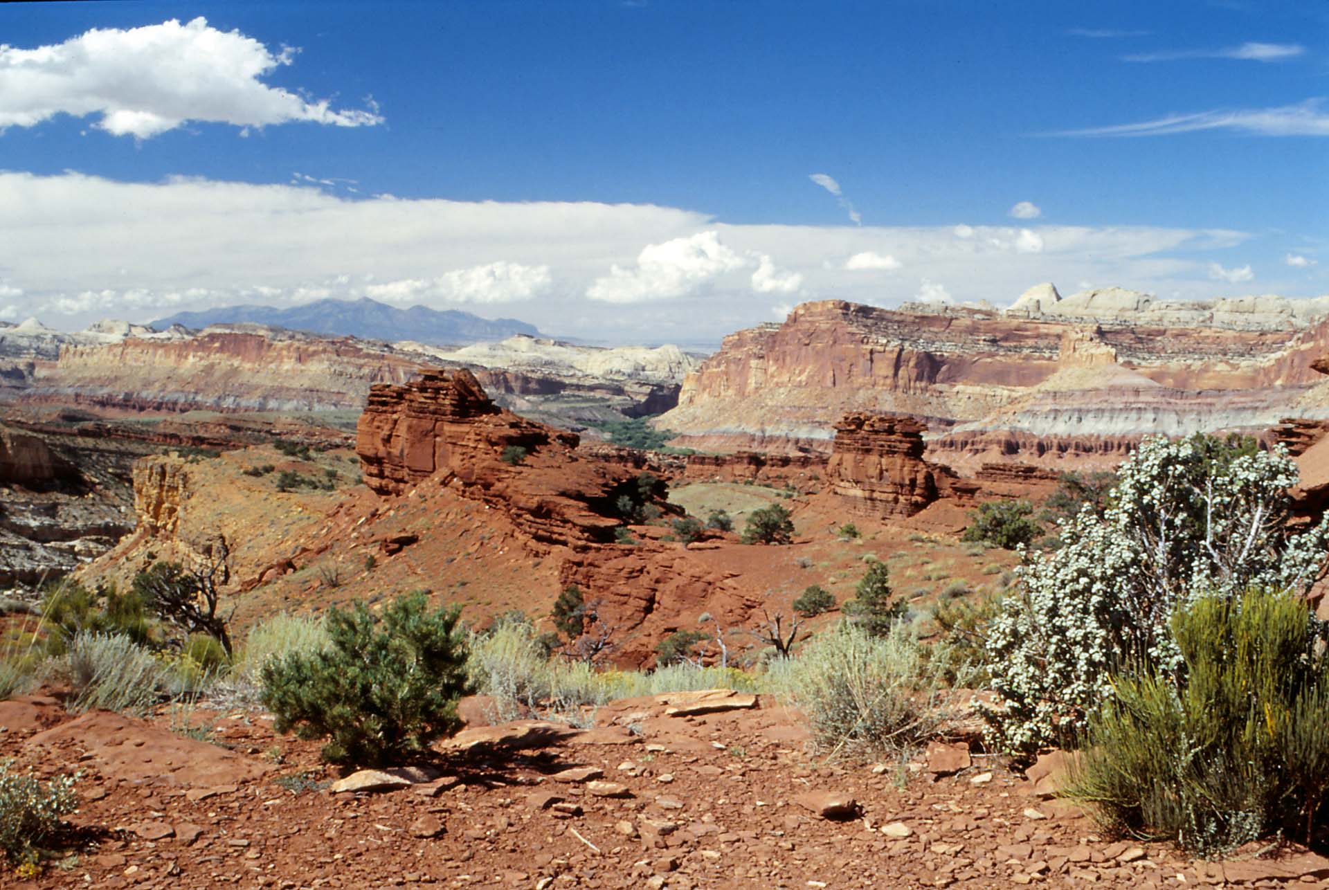 Utah, Capitol Reef Nationalpark