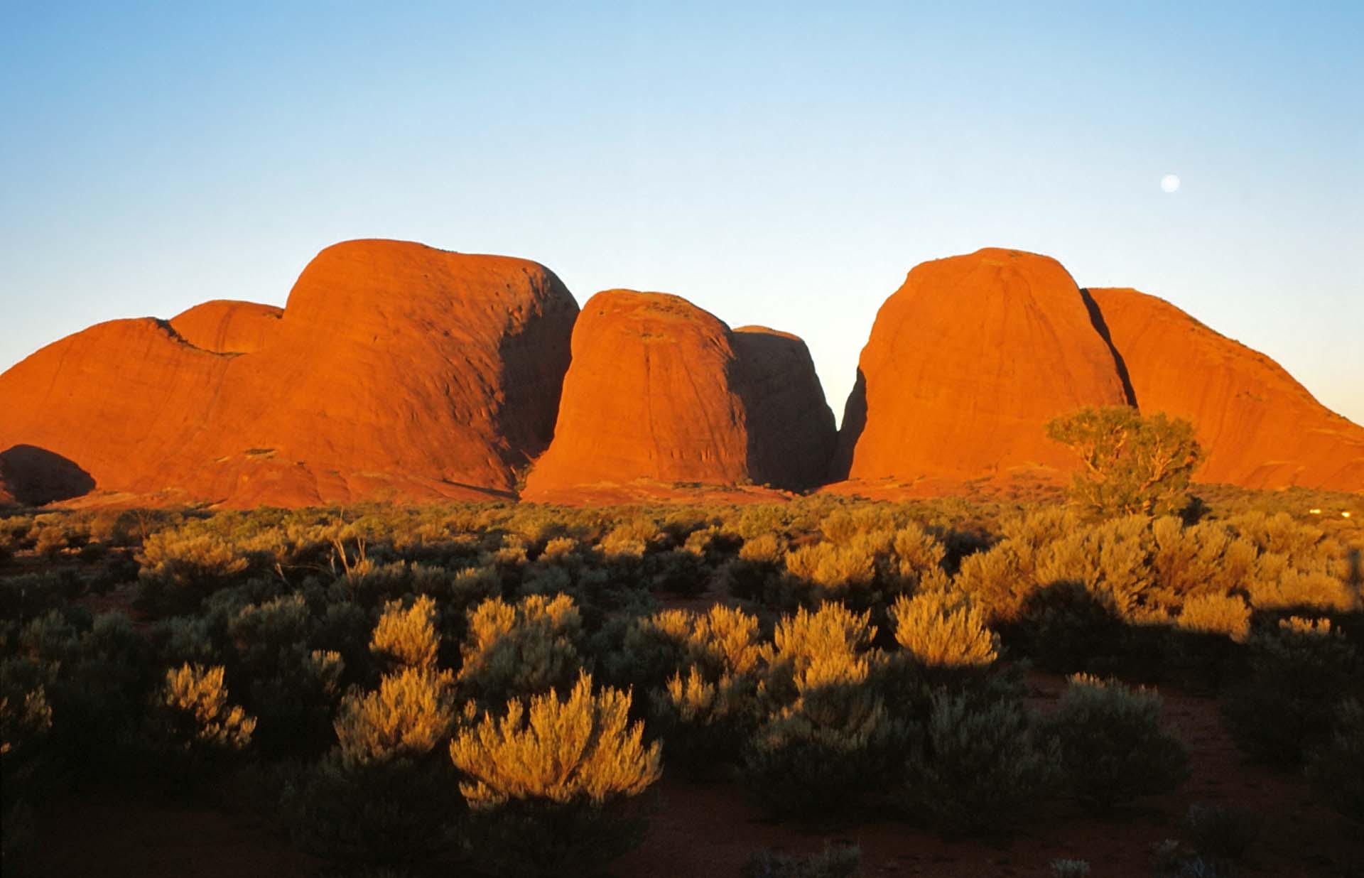 Sonnenuntergang Kata Tjuta, Olgas