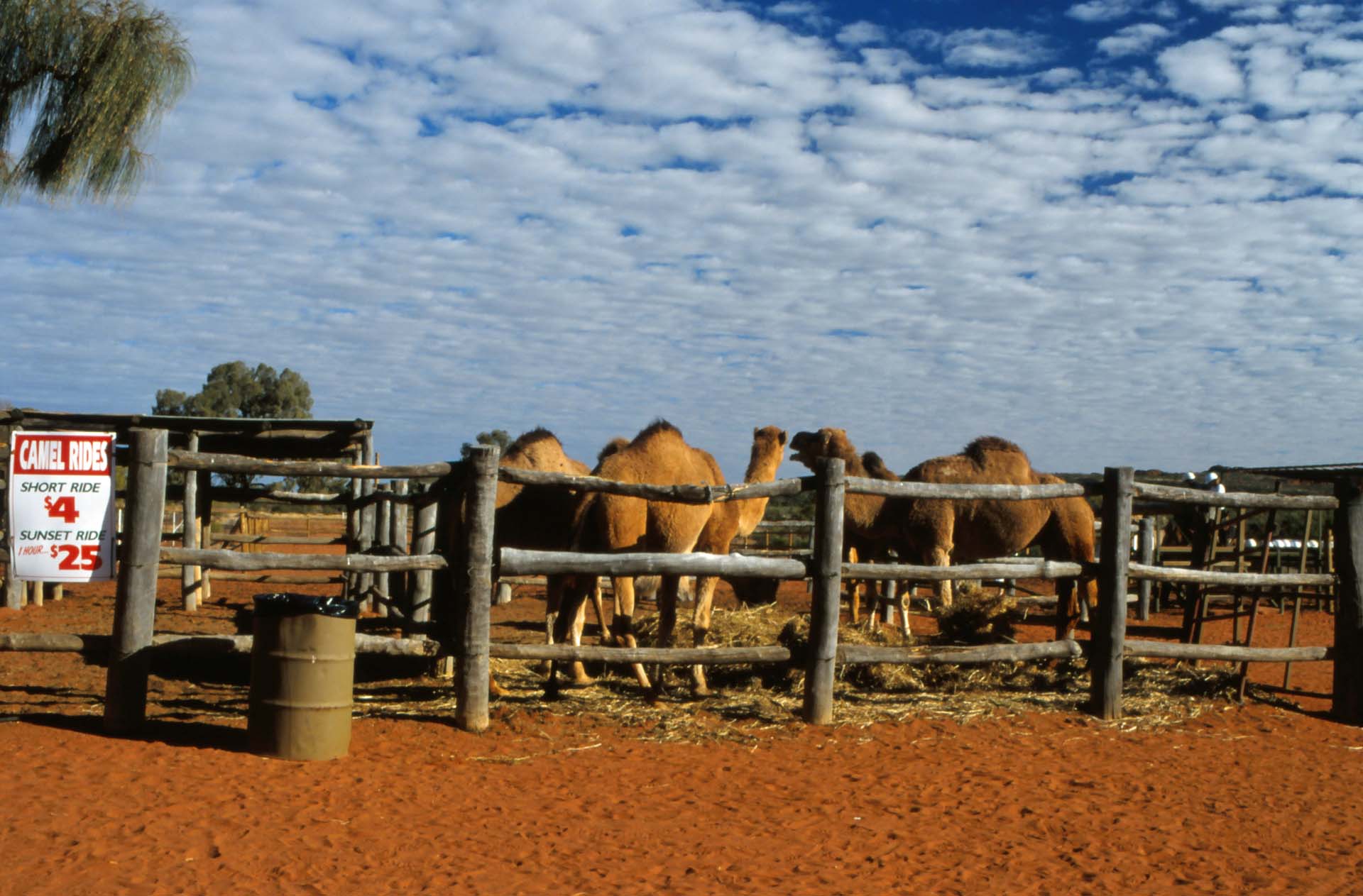 Australische Einwanderer