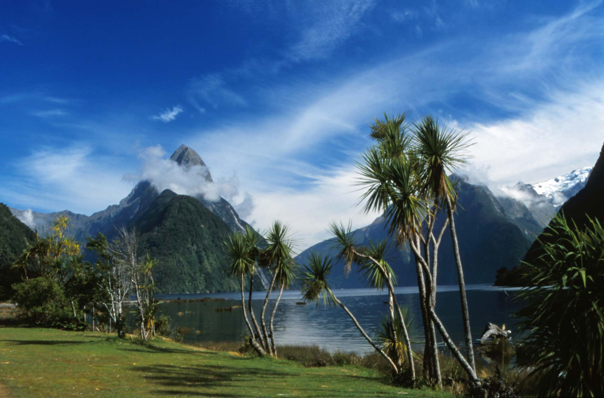 Der Milford Sound - Hier regnet es an 360 Tagen im Jahr
