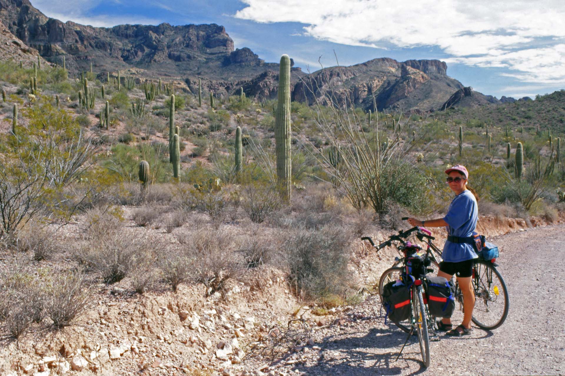 Organ Pipe National Monument, Arizona, Radtour um den Ajo Mountain
