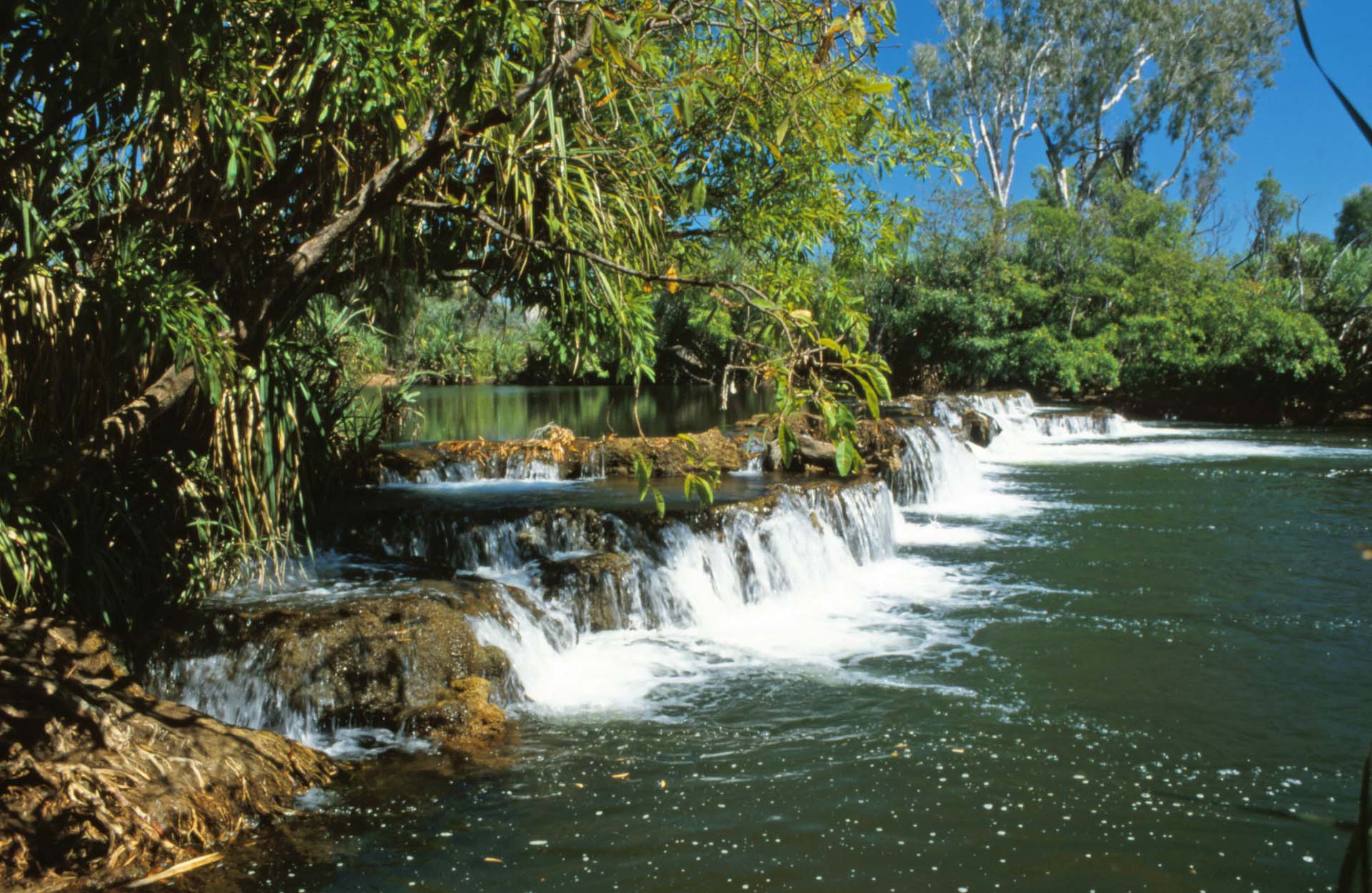 Am Roper River bei Mataranka, NT