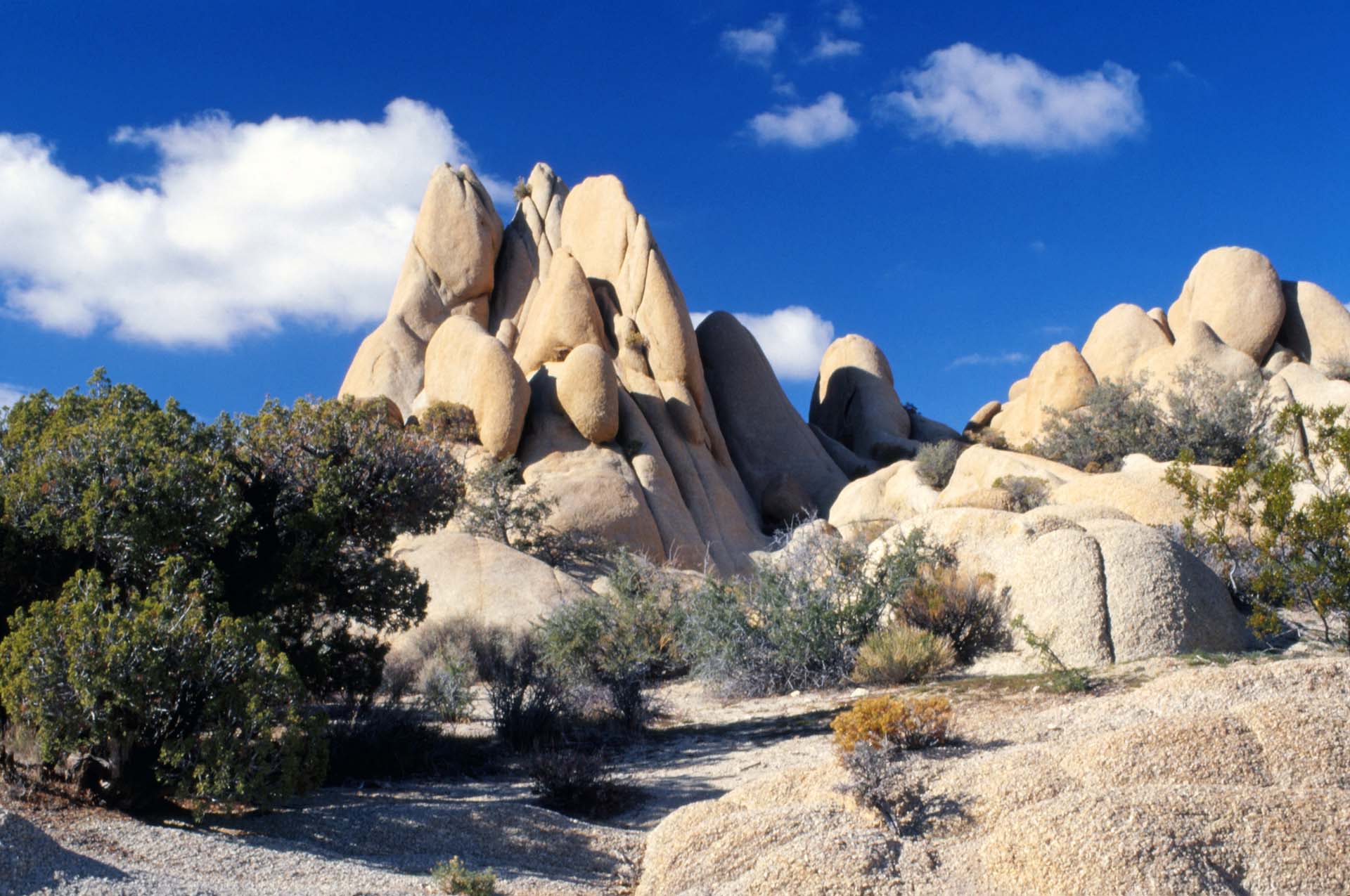 Die Jumbo Rocks im Joshua Tree Nationalpark, Kalifornien