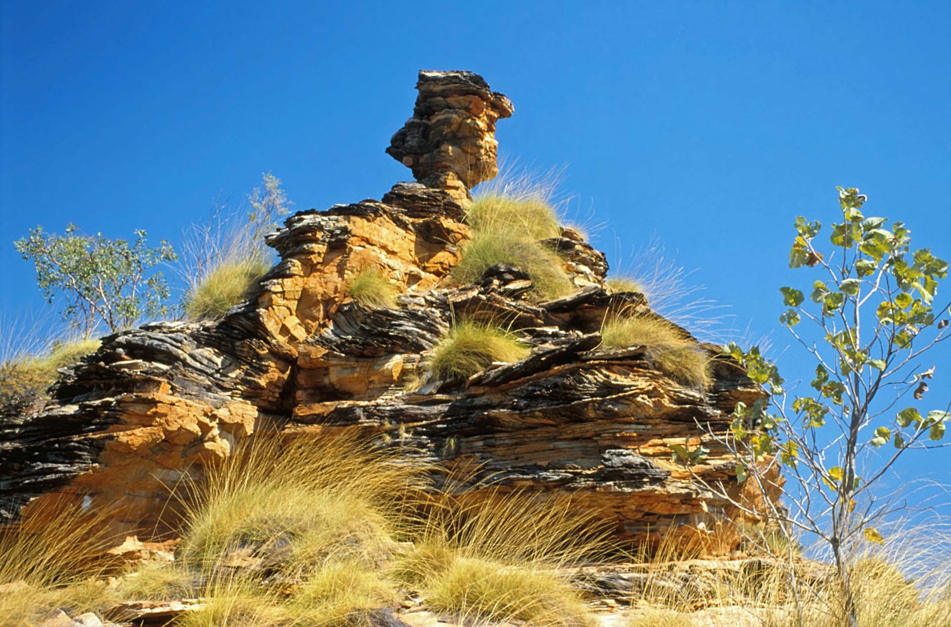 Im Kakadu Nationalpark