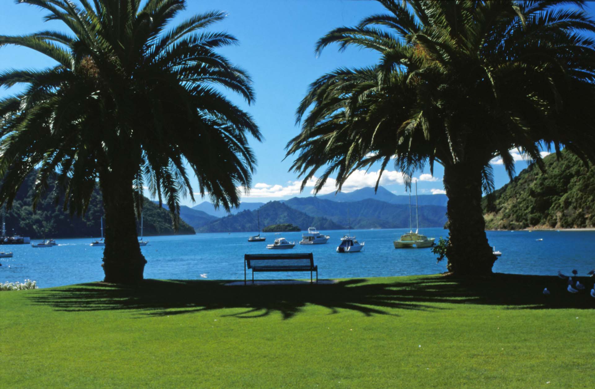 Picton, das Tor zur Südinsel - der schönste Hafen der Welt!